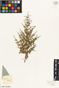 SW_BNB_s3010-07471_IMG-0000000001