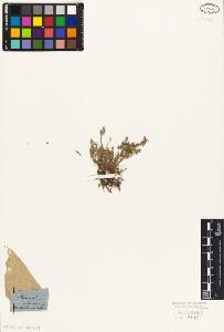 SW_BNB_s3010-07474_IMG-0000000001