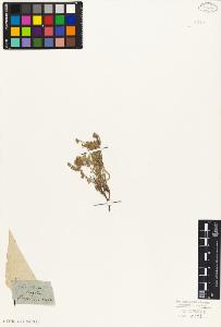 SW_BNB_s3010-07476_IMG-0000000001