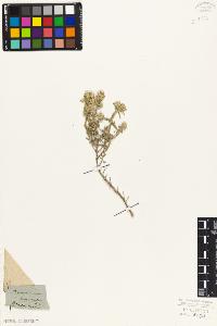 SW_BNB_s3010-07488_IMG-0000000001