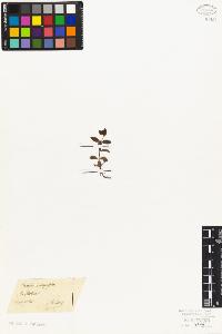 SW_BNB_s3010-07491_IMG-0000000001
