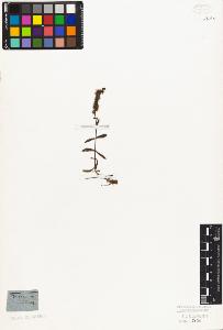 SW_BNB_s3010-07497_IMG-0000000001
