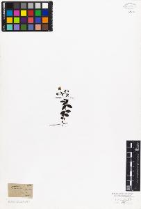 SW_BNB_s3010-07501_IMG-0000000001