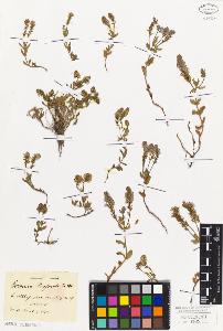 SW_BNB_s3010-07509_IMG-0000000001