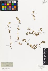 SW_BNB_s3010-07513_IMG-0000000001