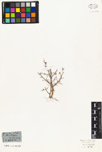 SW_BNB_s3010-07523_IMG-0000000001