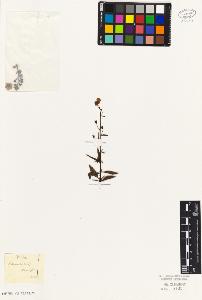 SW_BNB_s3010-07534_IMG-0000000001