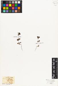 SW_BNB_s3010-07540_IMG-0000000001