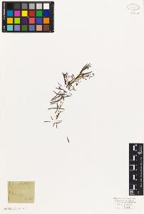 SW_BNB_s3010-07541_IMG-0000000001