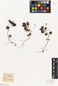 SW_BNB_s3010-07545_IMG-0000000001