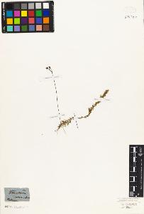 SW_BNB_s3010-07550_IMG-0000000001