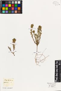 SW_BNB_s3010-07554_IMG-0000000001