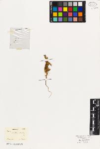 SW_BNB_s3010-07556_IMG-0000000001