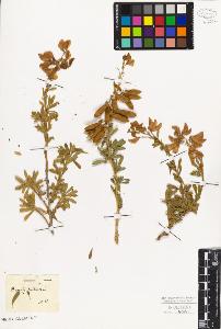 SW_BNB_s3010-07561_IMG-0000000001