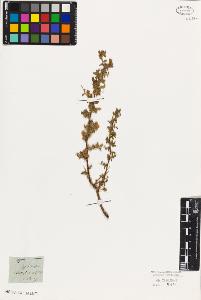 SW_BNB_s3010-07562_IMG-0000000001