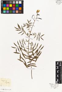 SW_BNB_s3010-07567_IMG-0000000001