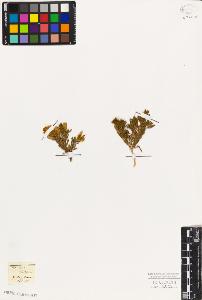 SW_BNB_s3010-07568_IMG-0000000001
