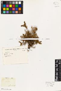 SW_BNB_s3010-07569_IMG-0000000001