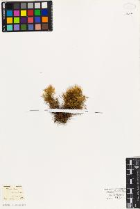 SW_BNB_s3010-07570_IMG-0000000001