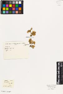 SW_BNB_s3010-07571_IMG-0000000001