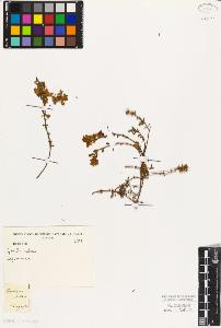 SW_BNB_s3010-07573_IMG-0000000001