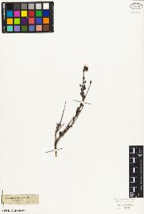 SW_BNB_s3010-07578_IMG-0000000001