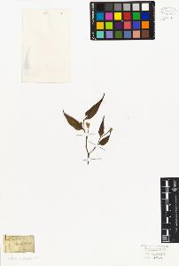 SW_BNB_s3010-07583_IMG-0000000001