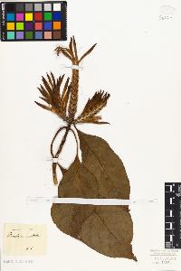 SW_BNB_s3010-07590_IMG-0000000001