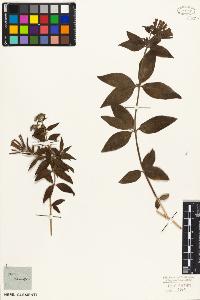 SW_BNB_s3010-07596_IMG-0000000001