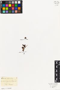 SW_BNB_s3010-07601_IMG-0000000001