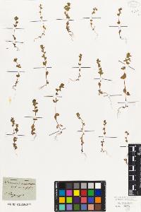SW_BNB_s3010-07604_IMG-0000000001