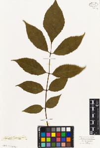 SW_BNB_s3010-07611_IMG-0000000001