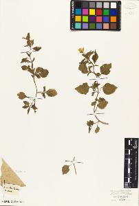 SW_BNB_s3010-07615_IMG-0000000001
