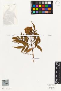 SW_BNB_s3010-07616_IMG-0000000001