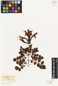 SW_BNB_s3010-07619_IMG-0000000001