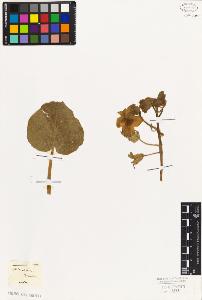 SW_BNB_s3010-07623_IMG-0000000001