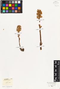 SW_BNB_s3010-07627_IMG-0000000001