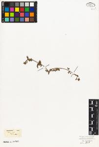 SW_BNB_s3010-07629_IMG-0000000001