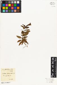 SW_BNB_s3010-07631_IMG-0000000001