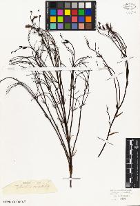 SW_BNB_s3010-07635_IMG-0000000001