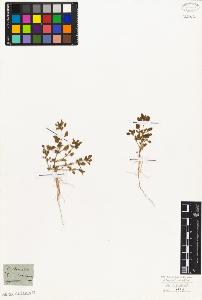 SW_BNB_s3010-07636_IMG-0000000001