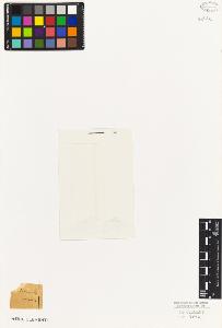 SW_BNB_s3010-07638_IMG-0000000001