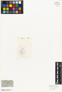 SW_BNB_s3010-07639_IMG-0000000001