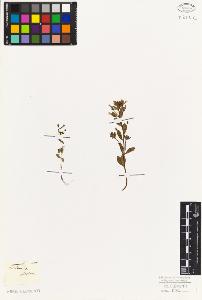 SW_BNB_s3010-07640_IMG-0000000001