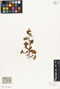 SW_BNB_s3010-07644_IMG-0000000001