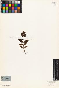 SW_BNB_s3010-07647_IMG-0000000001