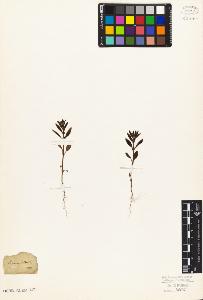 SW_BNB_s3010-07648_IMG-0000000001