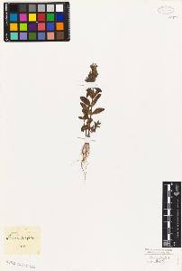SW_BNB_s3010-07653_IMG-0000000001