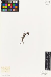 SW_BNB_s3010-07657_IMG-0000000001