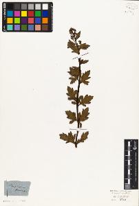 SW_BNB_s3010-07666_IMG-0000000001